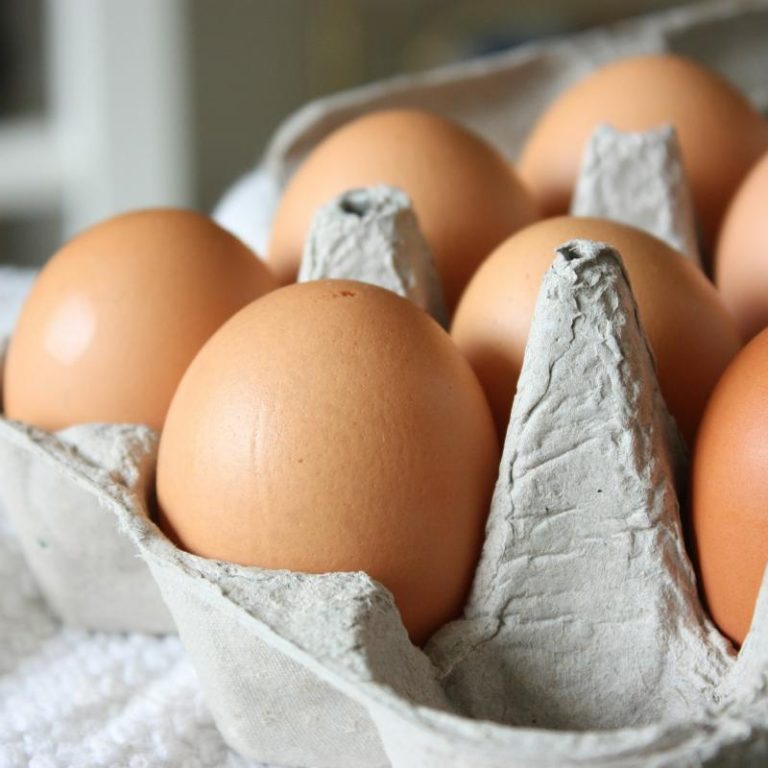 Hergebruik van eierdozen