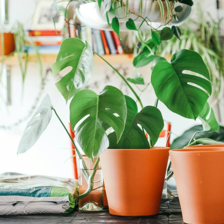 plantenpotten afvalmaterialen