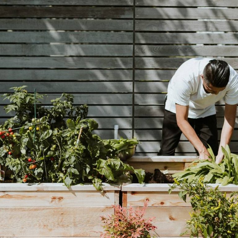 verticale tuin van pallets